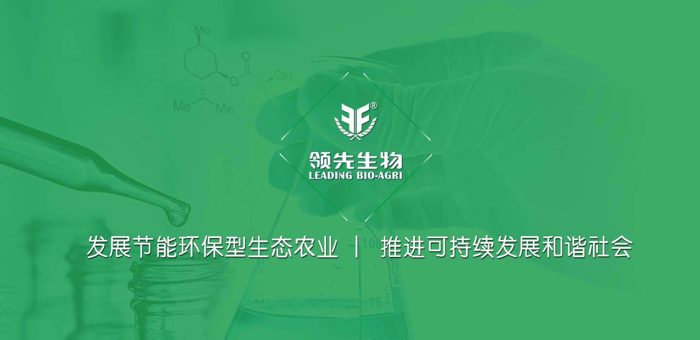 谈球吧官方网站